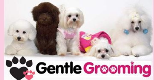 Gentle Grooming